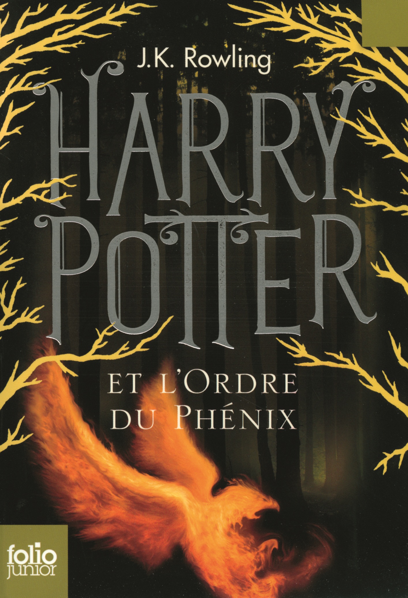 Affiche de Harry Potter et l'Ordre du Phénix