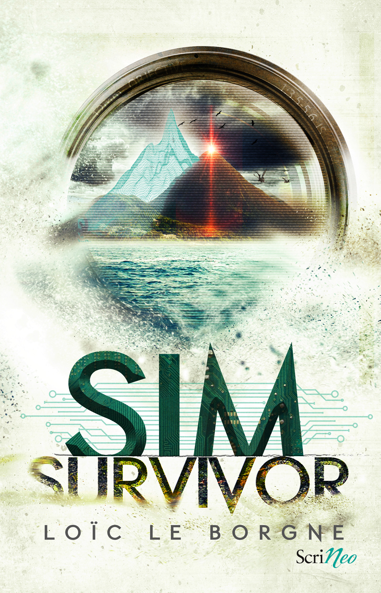 Sim Survivor