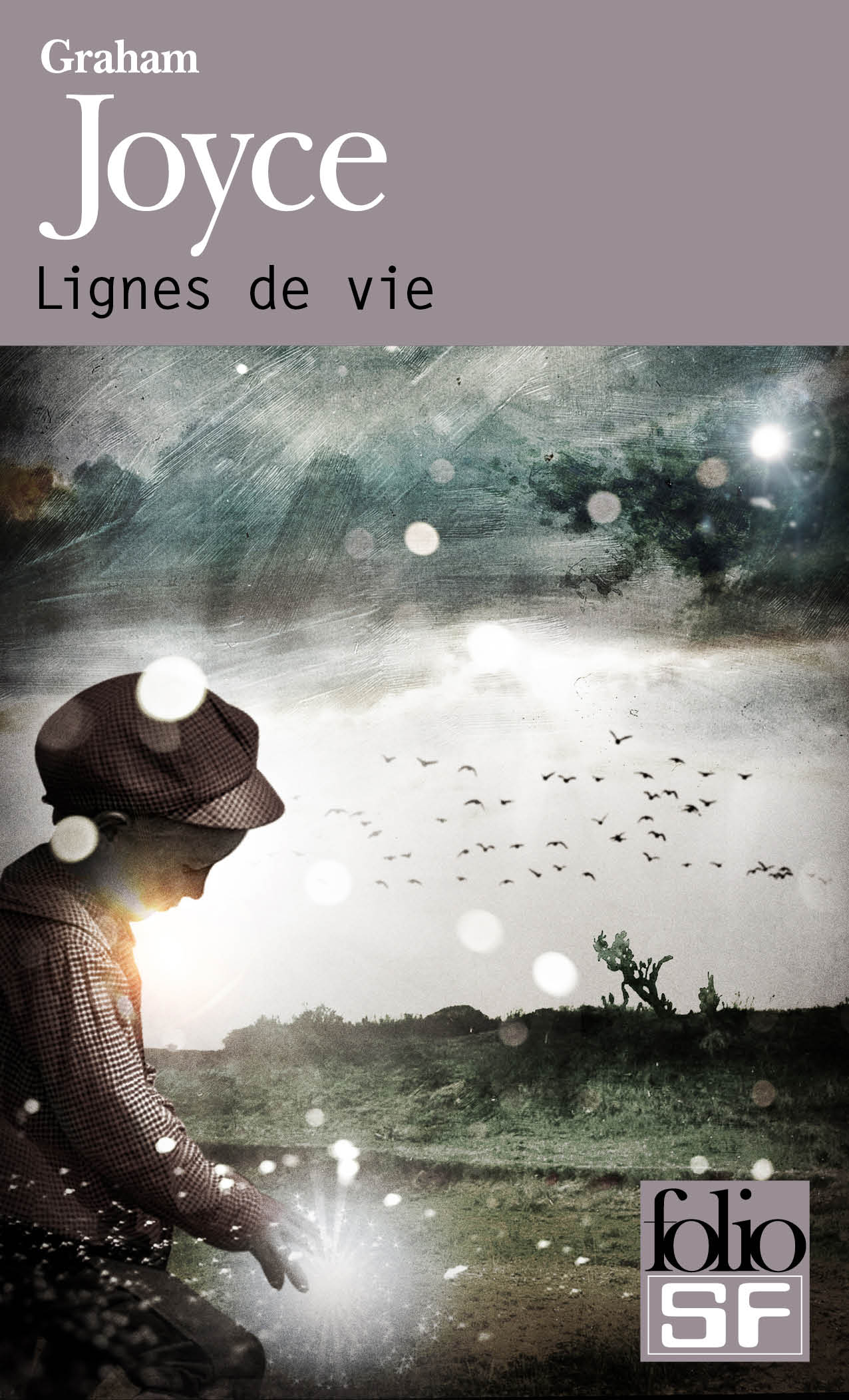 Lignes de vie