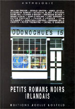 Petits Romans Noirs Irlandais