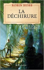 Affiche de La Déchirure
