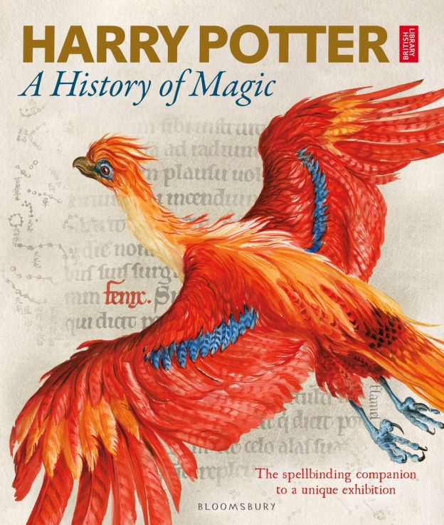 Une nouvelle série de courts métrages pour Harry Potter !
