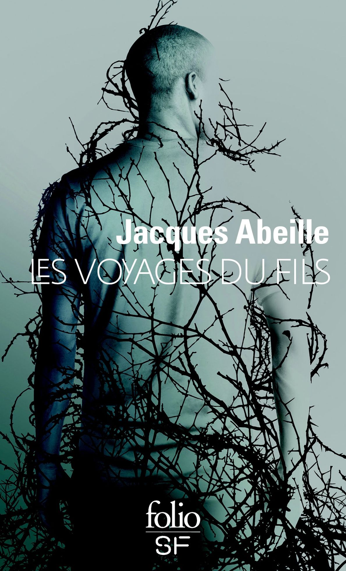 Jacques Abeille - Les Voyages du fils