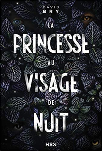 La Princesse au visage de nuit, le nouveau roman de David Bry