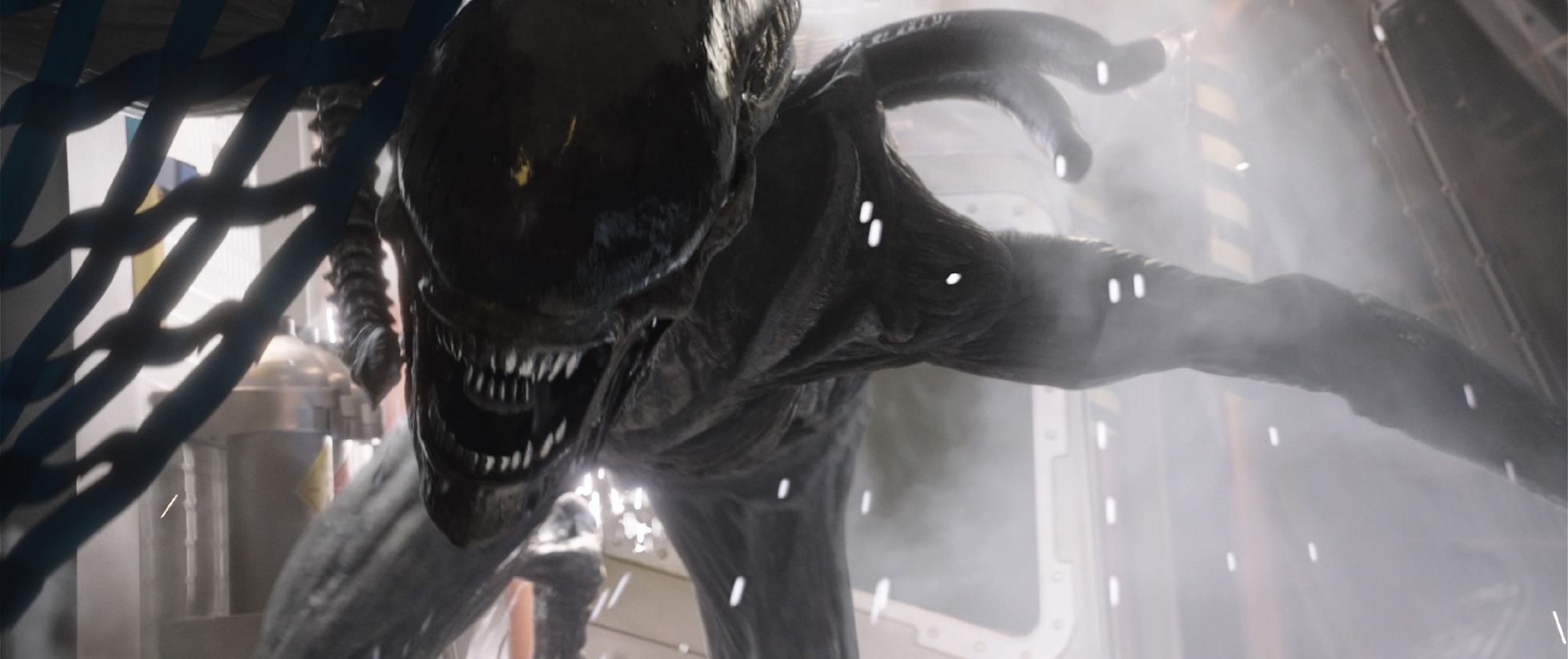 Alien : début de tournage, casting et réalisateur pour le nouveau film