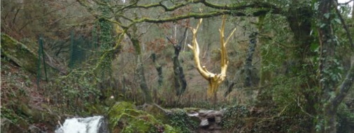 Les Bleuets Sauvages - Un gîte pas comme les autres, à la lisière de la  Forêt de Brocéliande...