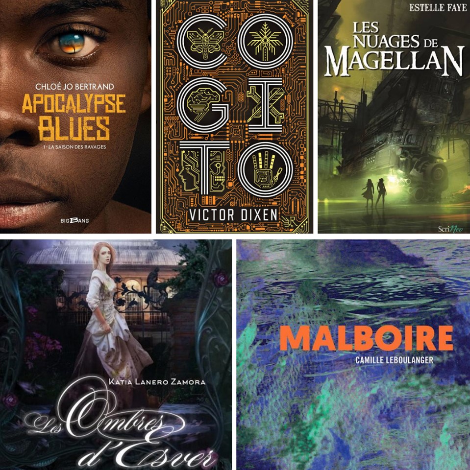 Imaginales 2020 - La sélection du Prix imaginales des Lycéens