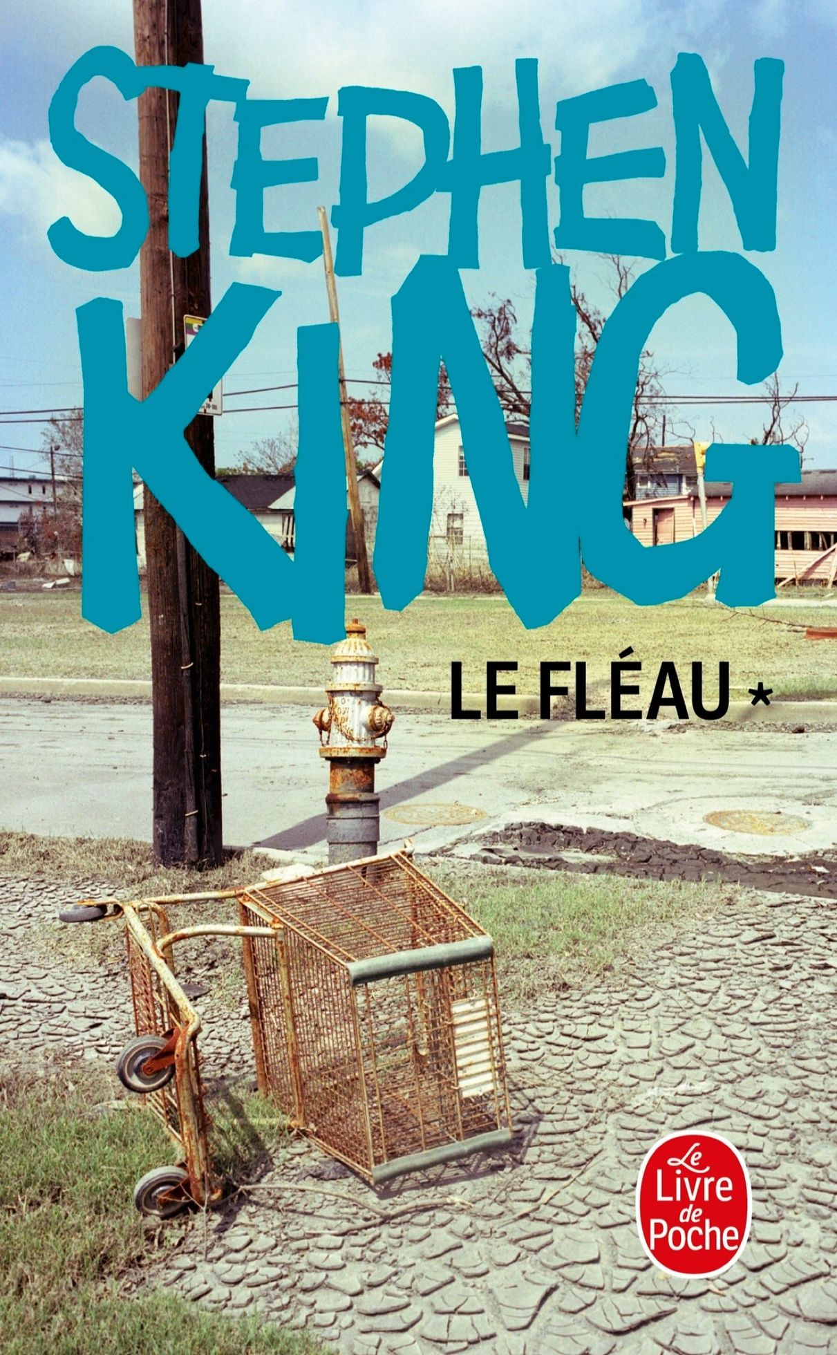 Photo de Stephen King - The Stand bientôt adapté !
