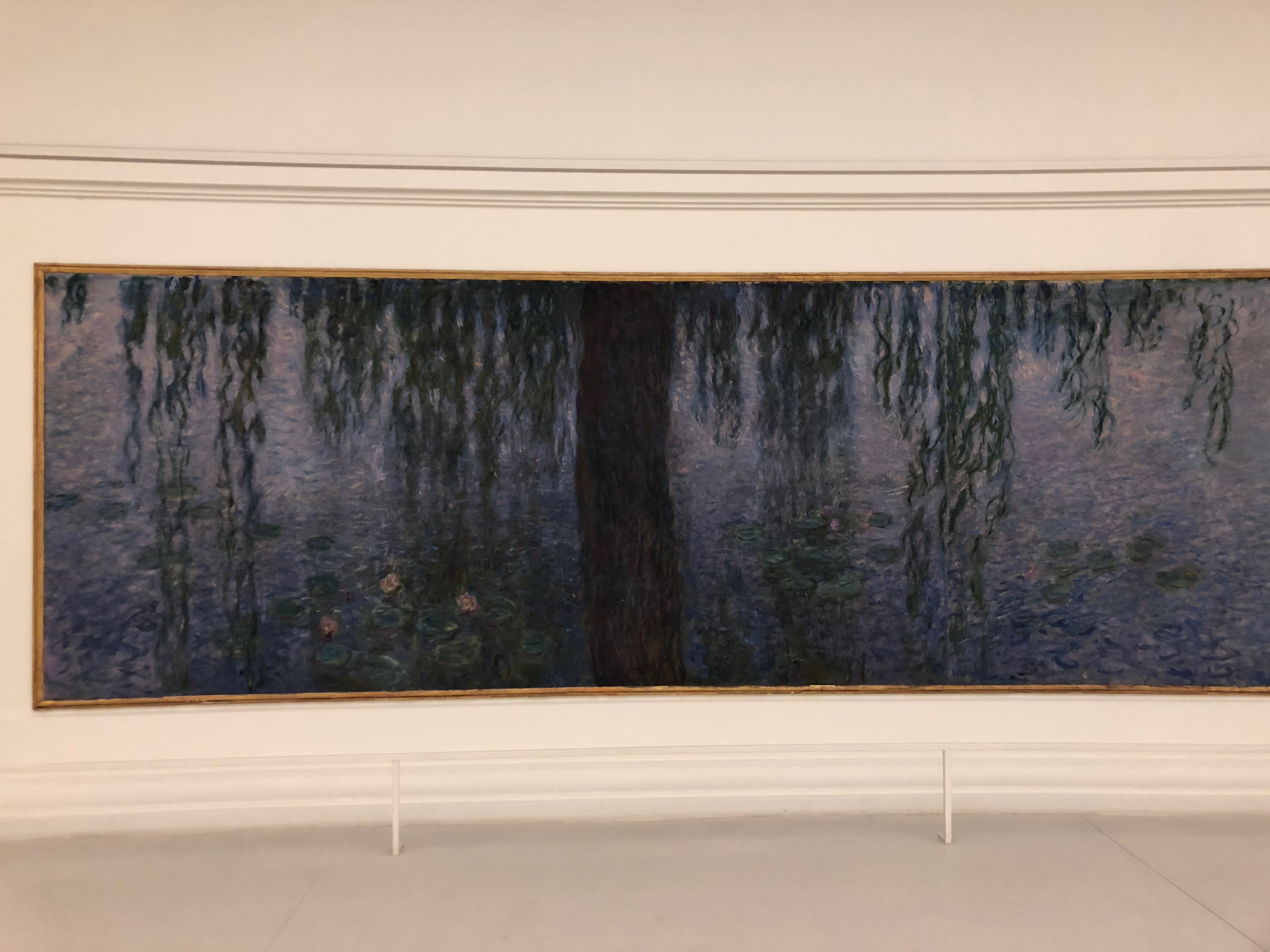Bussi réenchante ses Nymphéas noirs en BD : rencontre au musée de l'Orangerie