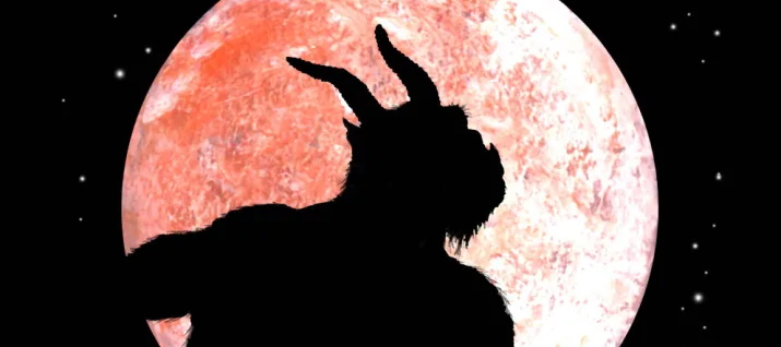 Photo de Trollune - Une cagnotte de soutien pour l'après Covid